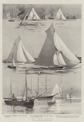 Regaty Cowes